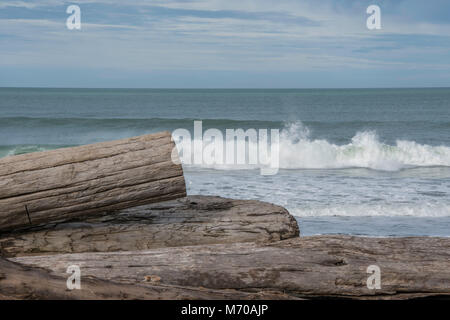 Treibholz am Strand entlang der Autobahn 101 in Nordkalifornien Stockfoto