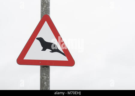 Otter Kreuzung Verkehr Warnschild, Schottland, Großbritannien Stockfoto