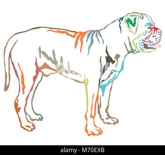 Bunte Kontur dekorative Portrait von ständigen im Profil hund Boerboel, Vektor isoliert Abbildung auf weißem Hintergrund Stock Vektor