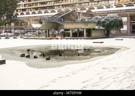 LONDON, GROSSBRITANNIEN, 28. Feb 2018: Enten auf dem zugefrorenen See in der Barbican während der Sturm Emma gestrandet. Stockfoto