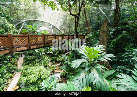 Vogel Voliere in Hong Kong Park, Central, Hong Kong Stockfoto