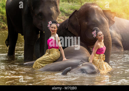 Hübsches Thai Mädchen in traditionellen thailändischen Kleid mit Elefanten Stockfoto