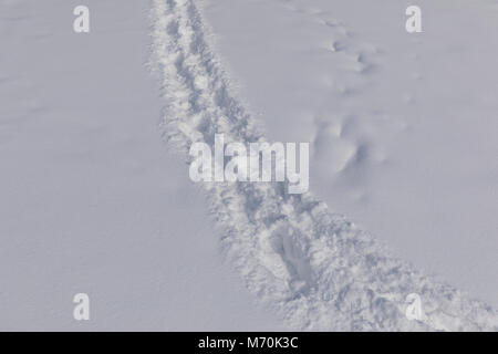 Spuren in den frischen Schnee Stockfoto
