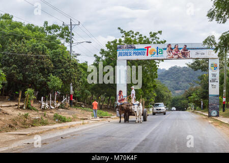 Tola, Nicaragua - Januar 20: Lokale Landwirt in seinem Hause Karre mit seinem Ochsen zog ihn die Straße hinunter. 20. Januar 2018, Tola, Nicaragua Stockfoto