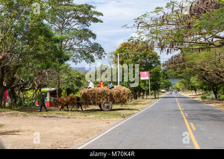 Tola, Nicaragua - Januar 20: Lokale Landwirt Transport von Heu mit einem Ochsenkarren auf der Autobahn in Nicaragua gezogen. 20. Januar 2018, Tola, Nicaragua Stockfoto