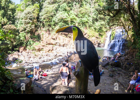 Nauyaca, Costa Rica - Januar 28: Toucan auf einer Stange in der Nähe von Touristen in Costa Rica thront. 28. Januar 2018, Nauyaca, Costa Rica Stockfoto