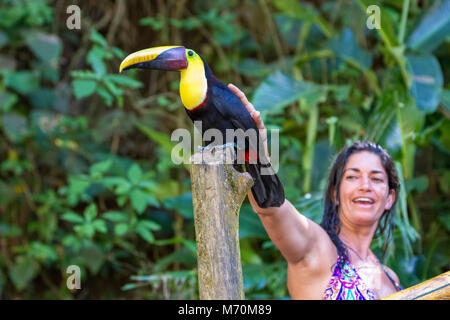 Nauyaca, Costa Rica - Januar 28: Frau petting einen wilden Toucan im Regenwald von Costa Rica. 28. Januar 2018, Nauyaca, Costa Rica Stockfoto