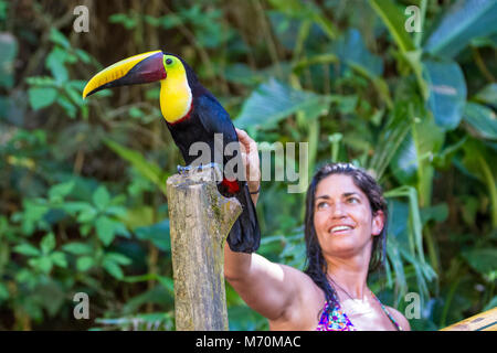 Nauyaca, Costa Rica - Januar 28: Frau petting einen wilden Toucan im Regenwald von Costa Rica. 28. Januar 2018, Nauyaca, Costa Rica Stockfoto