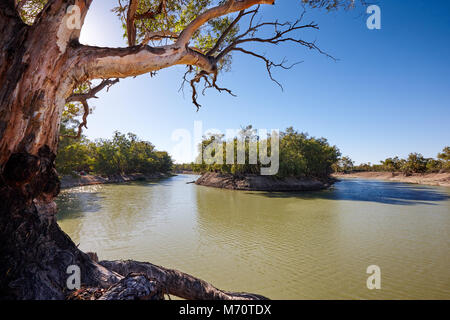 Am frühen Morgen, Darling River in der Nähe von kleinen Outback Stadt Menindee, New-South.Wales, Australien Stockfoto