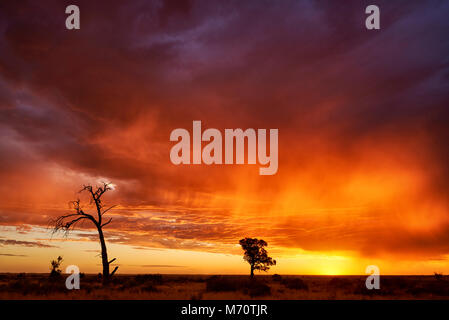 Flanke von Wetter System über North Western Victoria bei Sonnenuntergang. Stockfoto