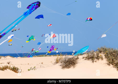 Bunte, verschiedene Formen und Größen, Drachen fliegen über Sandstrand, an einem Sommertag. Stockfoto