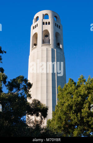 Coit Tower in San Francisco Stockfoto