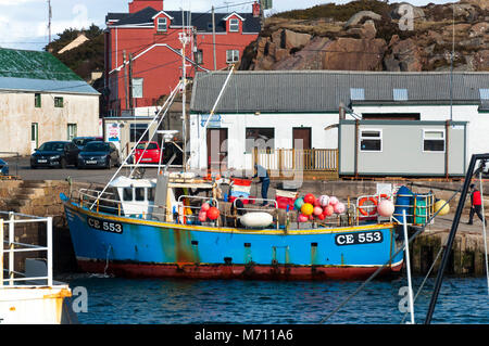 Burtonport, County Donegal, Irland. 7. März 2018. Krabben sind unbelastet von der Küstenfischerei Boot auf der Uferstraße. Die Saison hat ernsthaft nach dem Winter und den letzten stürmischen Wetter begonnen. Diese Krabbe Fang ist für den Export von Irland bestimmt ist. Credit: Richard Wayman/Alamy leben Nachrichten Stockfoto