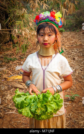 Wenig 5 jähriges Mädchen aus der den langen Hals Karen Menschen der nördlichen Thailand; als Tom; Chiang Mai Provinz Stockfoto