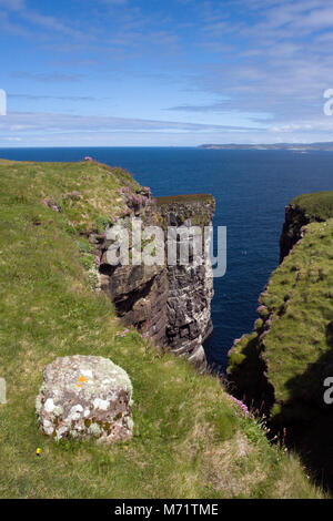 An der Küste Blick aus dem riesigen Meer stapeln auf Handa Island, Sutherland, Schottland, Britische Inseln, Juni Stockfoto