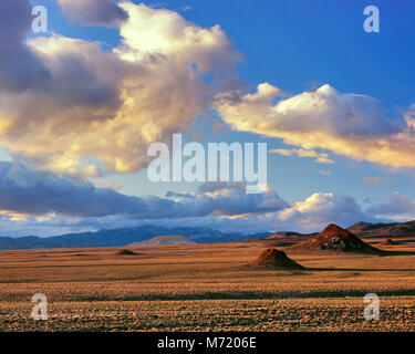 Sonnenuntergang, Monitor Tal, Toquima Range, Toiyabe National Forest, Nevada Stockfoto