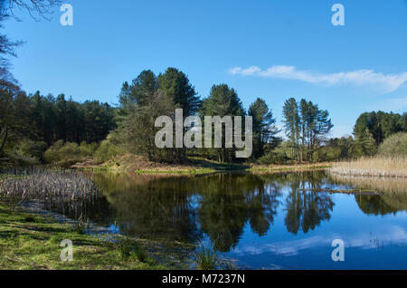 Der Blick von einer der vielen verbirgt sich das Naturschutzgebiet im Morton Lochs in der Pfeife, in der Nähe von Newport auf Tay. Stockfoto