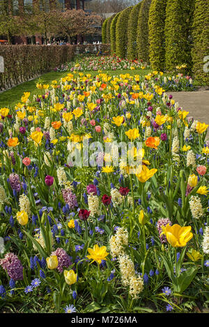 Eine Vielzahl von verschiedenen bunten Blumen im Keukenhof, Niederlande Stockfoto