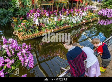 Kinder, die die Reflexion der Orchideen in einem Teich im Princess of Wales Conservatory in Kew Gardens, London, Großbritannien, betrachten Stockfoto