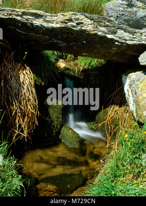 Anzeigen NW der Feder, die unter einem trockenmauern Feld Wand neben römischen Straße zwischen Cae Coch & Maen y Bardd über dem Tal von Conwy, North Wales. Stockfoto