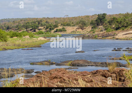 Fluss im Krüger Nationalpark Südafrika Stockfoto