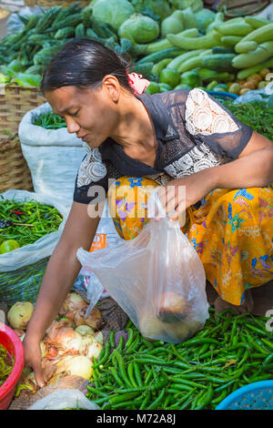 Markt Inhaber Verkauf von Gemüse Abschaltdruck am Nyaung Oo Market, Bagan, Myanmar (Birma), Asien im Februar Stockfoto