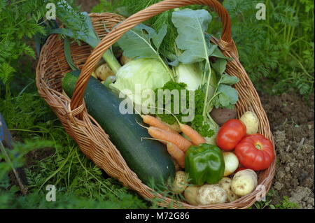Gemüse 15. Stockfoto