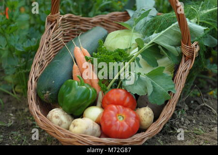 Gemüse 16. Stockfoto