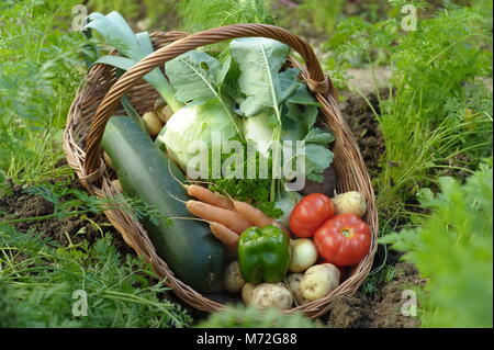 Gemüse 17. Stockfoto