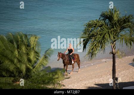 Reiten am Strand von Barbados. Stockfoto
