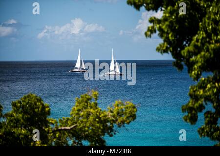 Segeln in Barbados Stockfoto