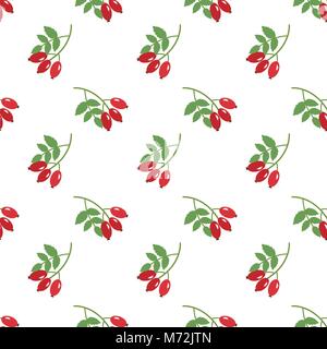 Nahtlose Hintergrundbild bunte Gemüse Lebensmittel Zutat Hagebutten Stock Vektor