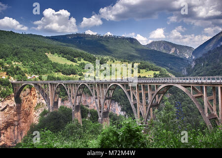 Alte große Brücke in Durdevica und fantastischer Aussicht Tara River Gorge - ist die größte Schlucht Europas im Nationalpark Durmitor, Montenegro. Balkan. Stockfoto