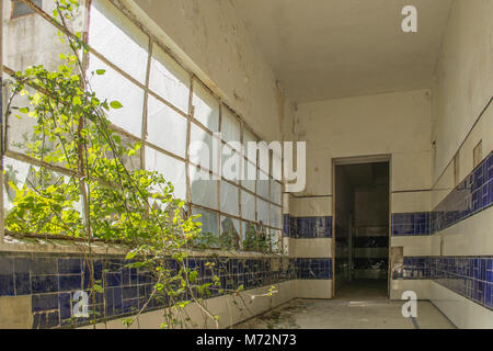 In einem verlassenen Sanatorium - Portugal Stockfoto