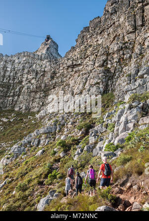 Wanderer auf der India Venster Wanderweg auf dem Tafelberg in Kapstadt. Stockfoto