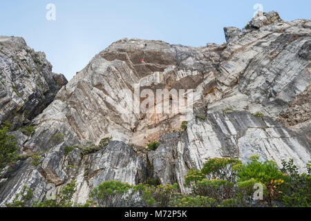 Abseilers und Kletterer knapp unter dem Gipfel des Tafelberges in Kapstadt. Stockfoto