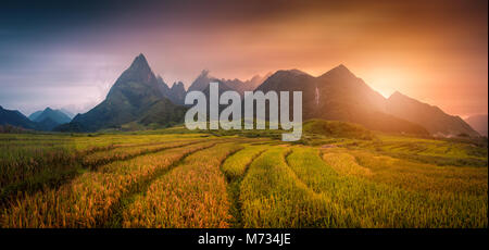 Reisfelder auf Terrassierten mit Mount Fansipan Hintergrund bei Sonnenuntergang in Lao Cai, Northern Vietnam. Fansipan ist ein Berg in Vietnam, die höchsten in Indoc Stockfoto