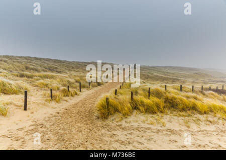 Dünenlandschaft im Winter an der niederländischen Küste bei IJmuiden mit Vegetation des Marram Gräser im Herbst Farben gegen einen Hintergrund mit dichtem Nebel Stockfoto