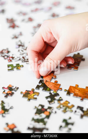 Hand einer Frau spielen Puzzle, Starten der Stücke das Bild zu enthüllen. Stücke auf einem weißen Hintergrund. Echten Spiel. Stockfoto