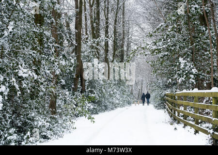 UK Wetter: Burley-in-Wharfedale, West Yorkshire, UK. 8. März 2018. Mit Baustellen Sperrung der einzige Weg aus dem Dorf, dieses Paar, Arm in Arm, genießen, eingeschneit, ihre Hunde für einen Spaziergang in die Umgebung. Rebecca Cole/Alamy leben Nachrichten Stockfoto