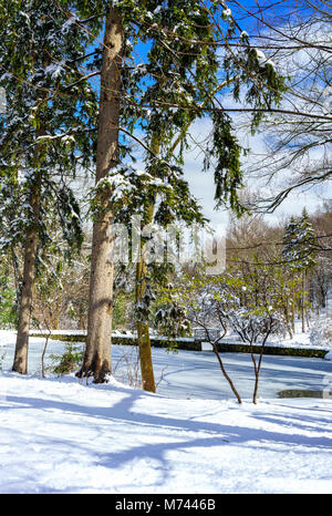 Croton-on-Hudson, NY, USA, 8. März 2018. Größte Schneesturm in Jahren begräbt suburban Croton-on-Hudson, New York mit bis zu 13,5-Zoll Schnee in diesem Vorort Westchester County Stadt. Quelle: Marianne Campolongo/Alamy Leben Nachrichten. Stockfoto