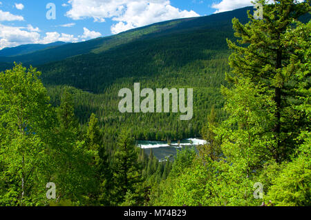 Osprey Falls Lookout zu Osprey fällt, Wells Gray Provincial Park, British Columbia, Kanada Stockfoto