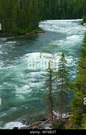 Clearwater River, Wells Gray Provincial Park, Britisch-Kolumbien, Kanada Stockfoto