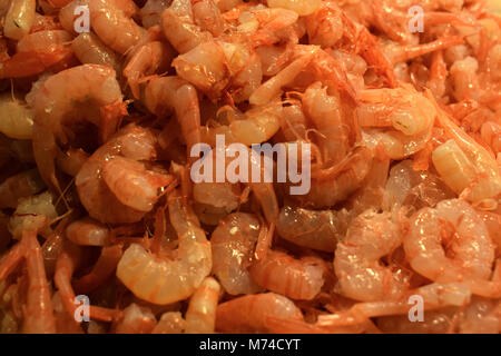 Geschälte Rosa Garnelen an ein fischhändler Stand beim Rialto Fischmarkt (Mercato di Rialto) in Venedig, Italien Stockfoto