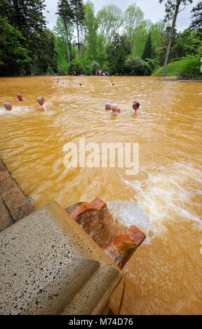 Terra Nostra Park, Furnas. São Miguel, Azoren. Portugal Stockfoto