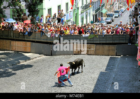 Stierkampf (tourada à Corda) in Angra do Delgada. Terceira, Azoren, Portugal Stockfoto