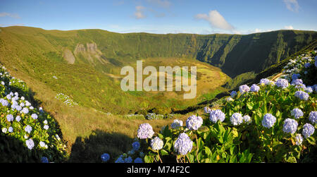 Die Caldeira, Der große vulkanische Krater von Faial. Azoren, Portugal Stockfoto