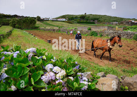 Die ländliche Landschaft in Serra Branca. Die Insel La Graciosa, Azoren. Portugal Stockfoto