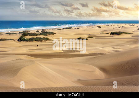 Sanddünen im berühmten natürlichen Strand von Maspalomas. Gran Canaria, Kanarische Inseln, Spanien Stockfoto