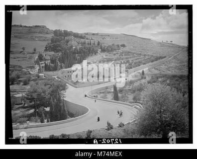 Garten Gethsemane & Pisten von Olivet mit neuen Straße LOC 12432 matpc. Stockfoto